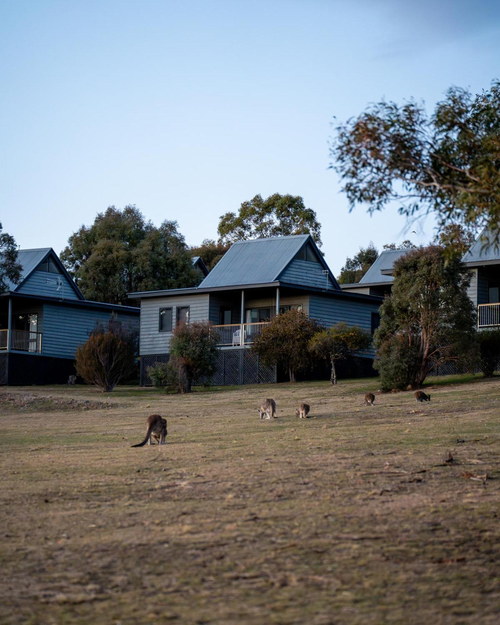 Adventist Alpine Village Jindabyne Dış mekan fotoğraf